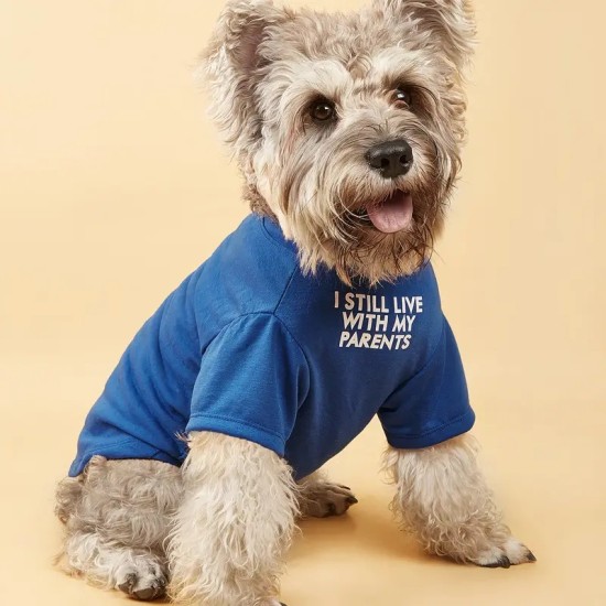 Pet Tee For Small & Medium Dog, "I Still Live With My Parents" Dog Shirts Cat Clothes, Pet Apparel