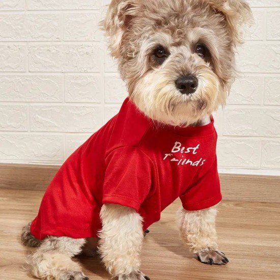 Pet Tee For Small & Medium Dog, "Best Friends" Dog T-Shirts Cat Clothes, Print Shirts For Pets