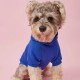 Pet Hoodie For Small & Medium Dogs, "Mommy's Boy" Pattern Dog Hoodie, Winter Pet Apparel