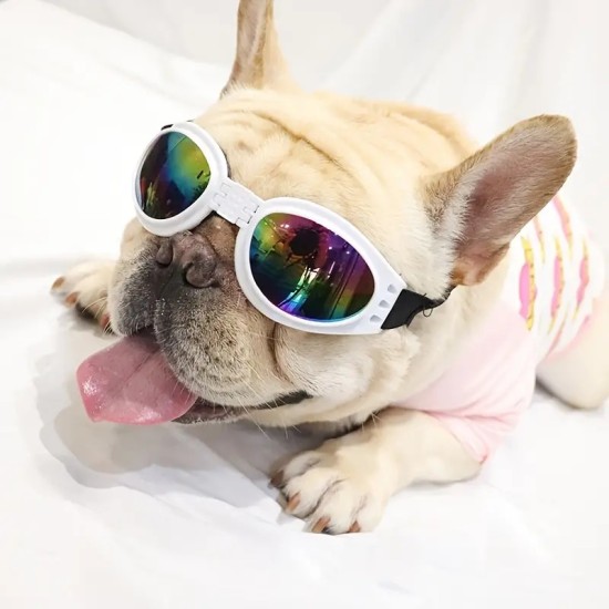 Pet Sunglasses For Dog & Cat, Foldable Dog Glasses For Outdoor, Cat Sunglasses, Pet Accessories