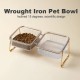 Raised Pet Food Bowls For Dog & Cat, Non-slip Cat Tilted Food Bowl, Elevated Dog Food & Water Bowls