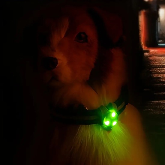 1pc Pet Pendant Collar, Night Anti-lost LED Light Pendant For Dog And Cat, Pet Supplies