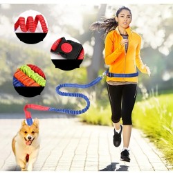 Hands Free Dog Leash For Running, Walking, Retractable Bungee Dog Leash, Adjustable Waist Pet Leash