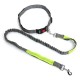 Hands Free Dog Leash For Running, Walking, Retractable Bungee Dog Leash, Adjustable Waist Pet Leash