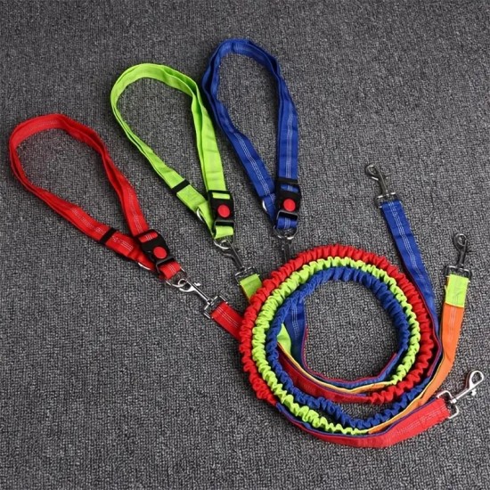 Hands Free Dog Leash For Running, Walking, Retractable Bungee Dog Leash, Adjustable Waist Pet Leash