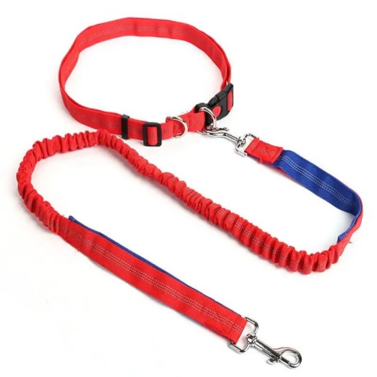 Hands Free Dog Leash For Running, Walking, Retractable Bungee Dog Leash, Adjustable Waist Pet Leash