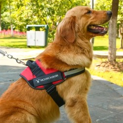 No Pull Pet Harness For Dog & Cat, Adjustable Soft Padded Large Dog Harness With Easy Control Handle