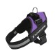 No Pull Pet Harness For Dog & Cat, Adjustable Soft Padded Large Dog Harness With Easy Control Handle