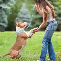 Spiked Dog Collar, Durable PU Leather Studded Dog Collar With Leash