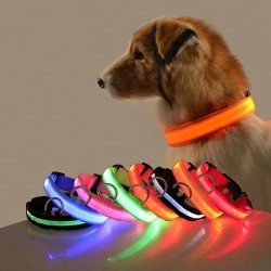 Glow-In-The-Dark Pet Collar For Small Medium Dogs, LED Dog Collar For Night Walking