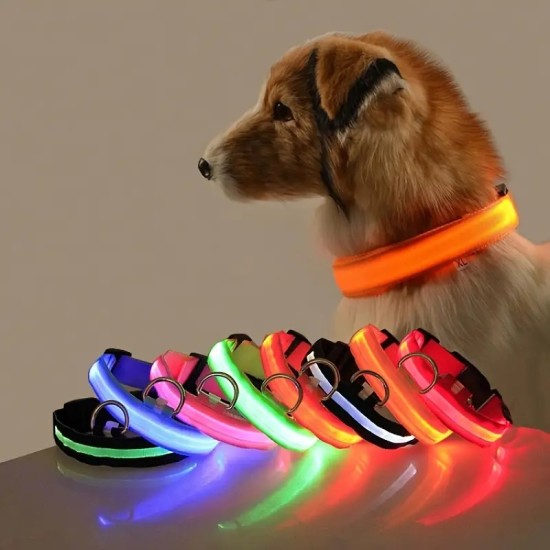 Glow-In-The-Dark Pet Collar For Small Medium Dogs, LED Dog Collar For Night Walking