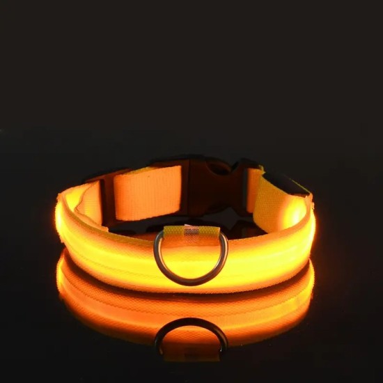 Glow-In-The-Dark Pet Collar For Small Medium Dogs, LED Dog Collar For Night Walking