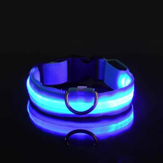 Glow-In-The-Dark Pet Collar For Small Medium Dogs, LED Dog Collar For Night Walking