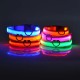 Glow-In-The-Dark Pet Collar For Small Medium Dogs, LED Dog Collar For Night Walking