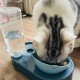 Pet Drinking Water Feeder, Automatic Water Dispenser For Indoor Dogs & Cats, Pet Food And Water Bowl