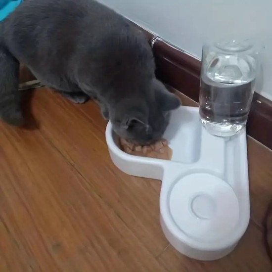 Cat Water Fountain & Food Bowl, Automatic Water Fountain For Small Dogs, Pet Drinking Supplies