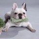 Dog Chew Stick Toys Toothbrush Durable Brushing Stick Soft Rubber Tooth Cleaning Massage Tools Pet