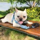 Pet Leash, Dog Harness, Small And Medium-sized Dog Round Rope Chest And Back Traction Supplies