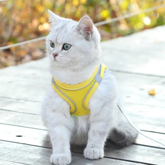 Pet No Pull Padded Vest Harness With Leash Set For Dog & Cat