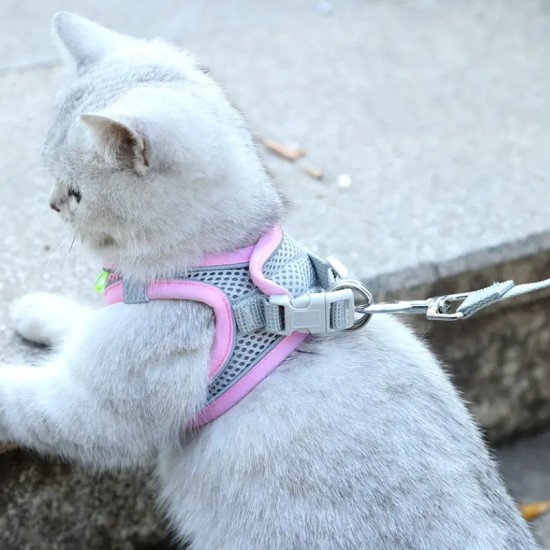 Pet No Pull Padded Vest Harness With Leash Set For Dog & Cat