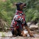 Large Dog Winter Fall Coat Warm Wind-proof Training Vest For Travel, Pet Outdoor Supplies